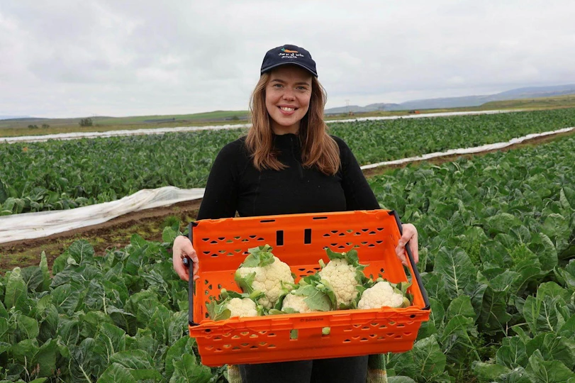 {title}