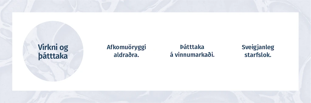 VIRKNI OG ÞÁTTTAKA  -  Afkomuöryggi aldraðra. Þátttaka á vinnumarkaði. Sveigjanleg starfslok.