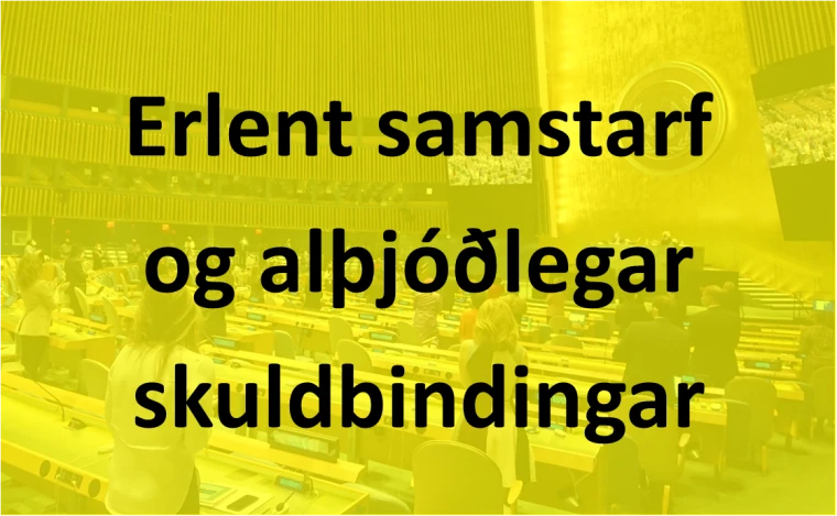 Erlent samstarf