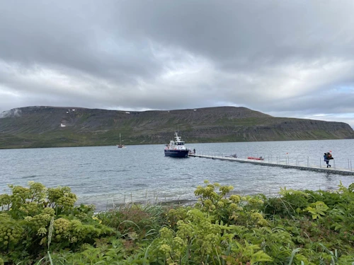 Samgöngubryggja við Hestseyri, sem er í nágrenni þjónustuhússins í Hornstrandafriðlandinu.