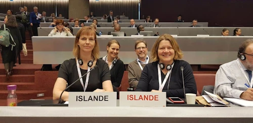 Anna Jóhannsdóttir, formaður sendinefndar Íslands og Kristín S. Hjálmtýsdóttir, framkvæmdastjóri Rauða kross Íslands