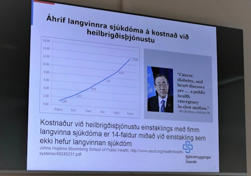Selfoss - úr erindi Maríu Heimisdóttur