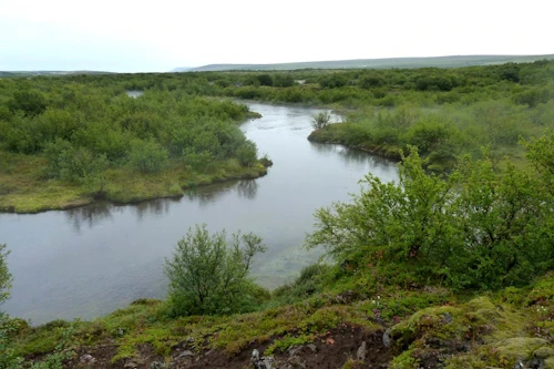 Oddauppsprettur