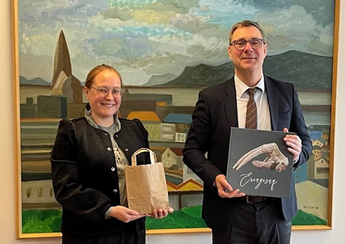 Heilbrigðisráðherrarnir Kirsten Fencker og Willum Þór Þórsson