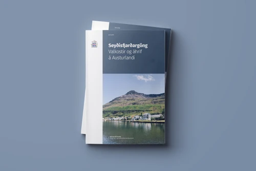 Skýrsla um Seyðisfjarðargöng, júní 2019