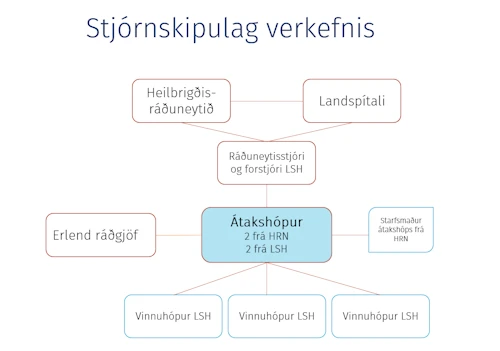 Stjórnskipulag bráðamóttökuverkefnisins