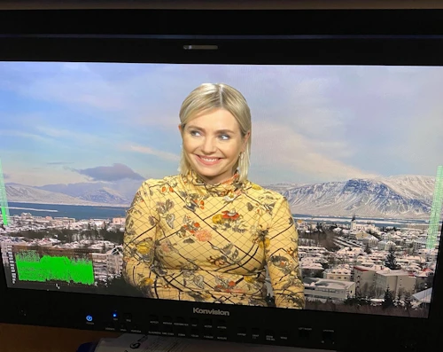 Lilja D. Alfreðsdóttir menningar- og viðskipta­ráðherra