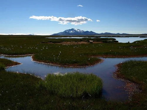 Horft að Snæfelli