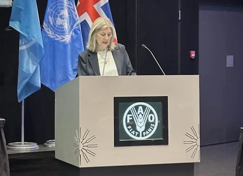 Hanna Katrín Friðriksson atvinnuvegaráðherra ávarpar fundinn í Hörpu í morgun.