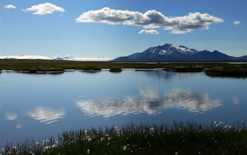 Snæfell