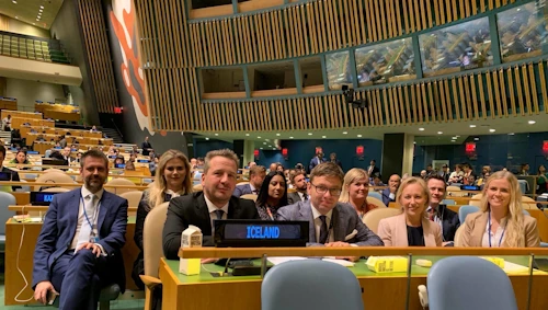 Sendinefnd Íslands á allsherjarþingi Sameinuðu þjóðanna í New York árið 2019.