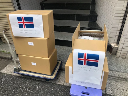 Veirulyfin bárust Landspítalanum frá Japan í gær. 