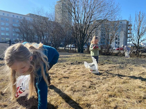 Tekið til hendinni á Stóra plokkdeginum.