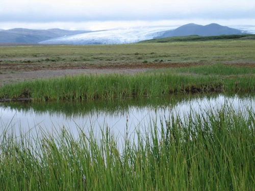 Þjórsárver.