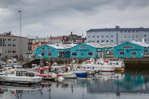 Við Reykjavíkurhöfn