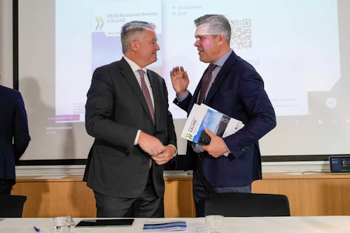 Bjarni Benediktsson og Mathias Cormann.