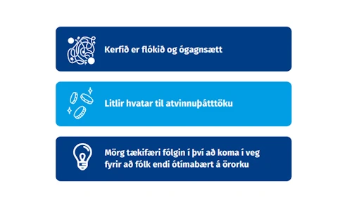 Úr samantektinni.