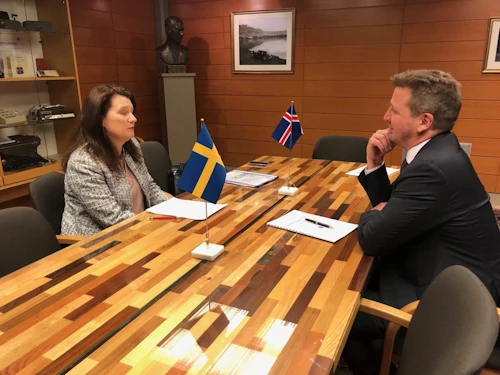 Guðlaugur Þór Þórðarson og Ann Linde á fundi þeirra í dag. 