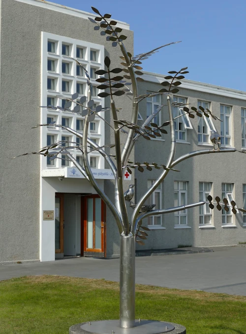Heilbrigðisstofnun Suðurnesja