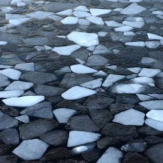 Vatnapúsl