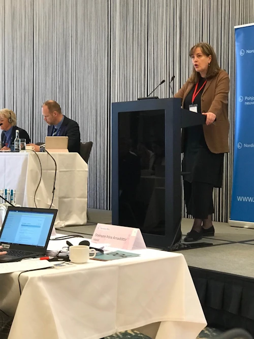 Heilbrigðisráðherra ávarpar norræna samráðherra