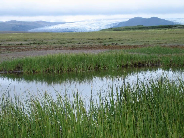Þjórsárver.
