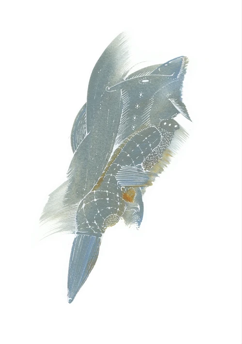 {image.Description}