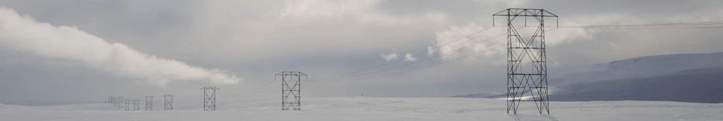 Birki ber við himinn