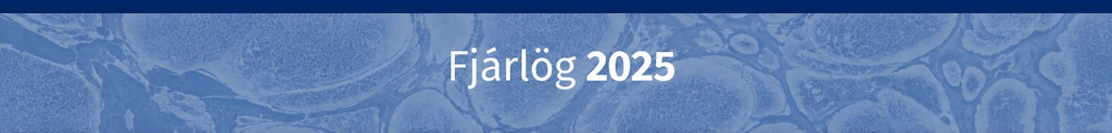 Frumvarp til fjárlaga 2024
