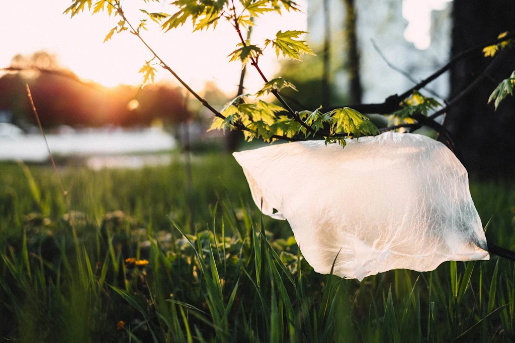{image.Description}