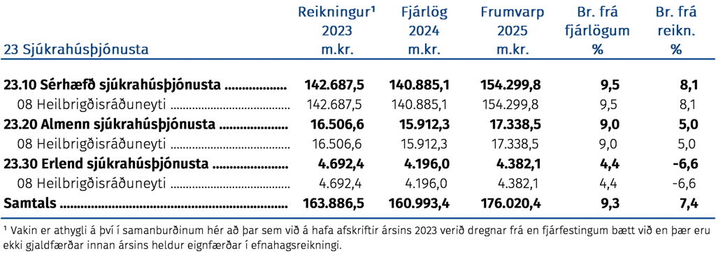 Sjúkrahúsþjónusta