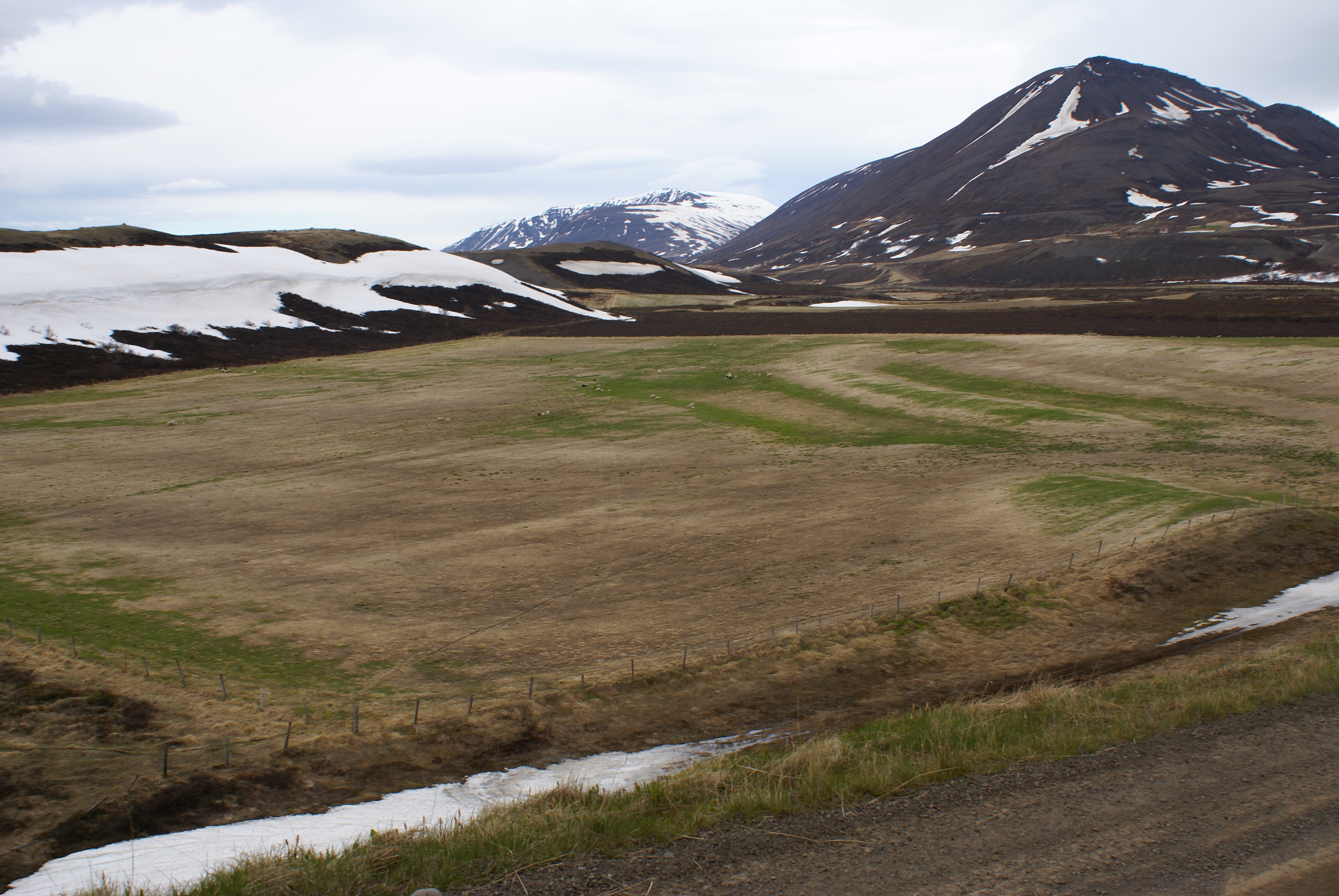 Kalið tún í Þingeyjarsýslu