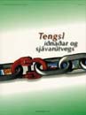 Skýrsla tengsl forsíða